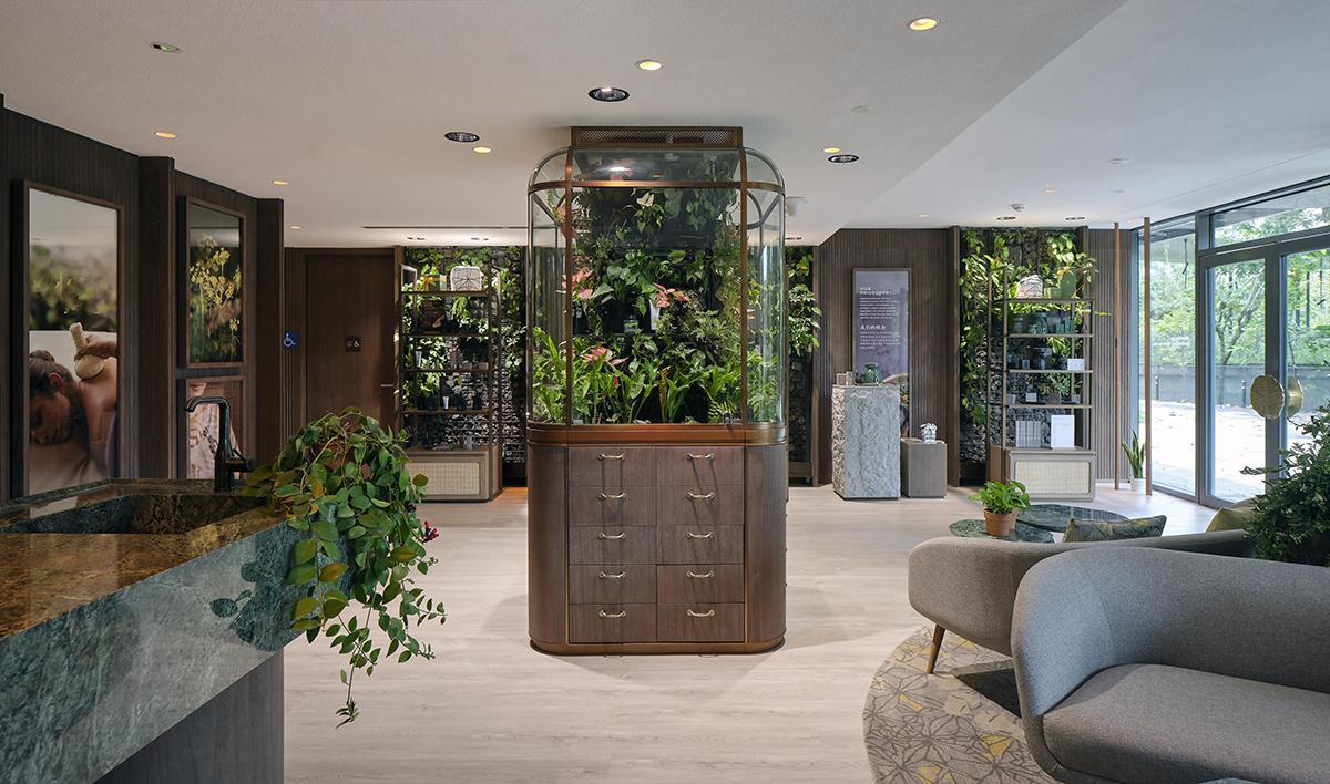 Banyan Tree’s Mandai Rainforest Resort in Singapore