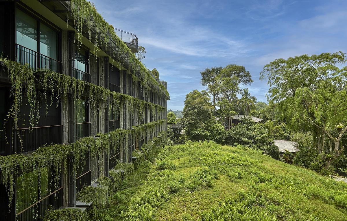 Banyan Tree’s Mandai Rainforest Resort in Singapore
