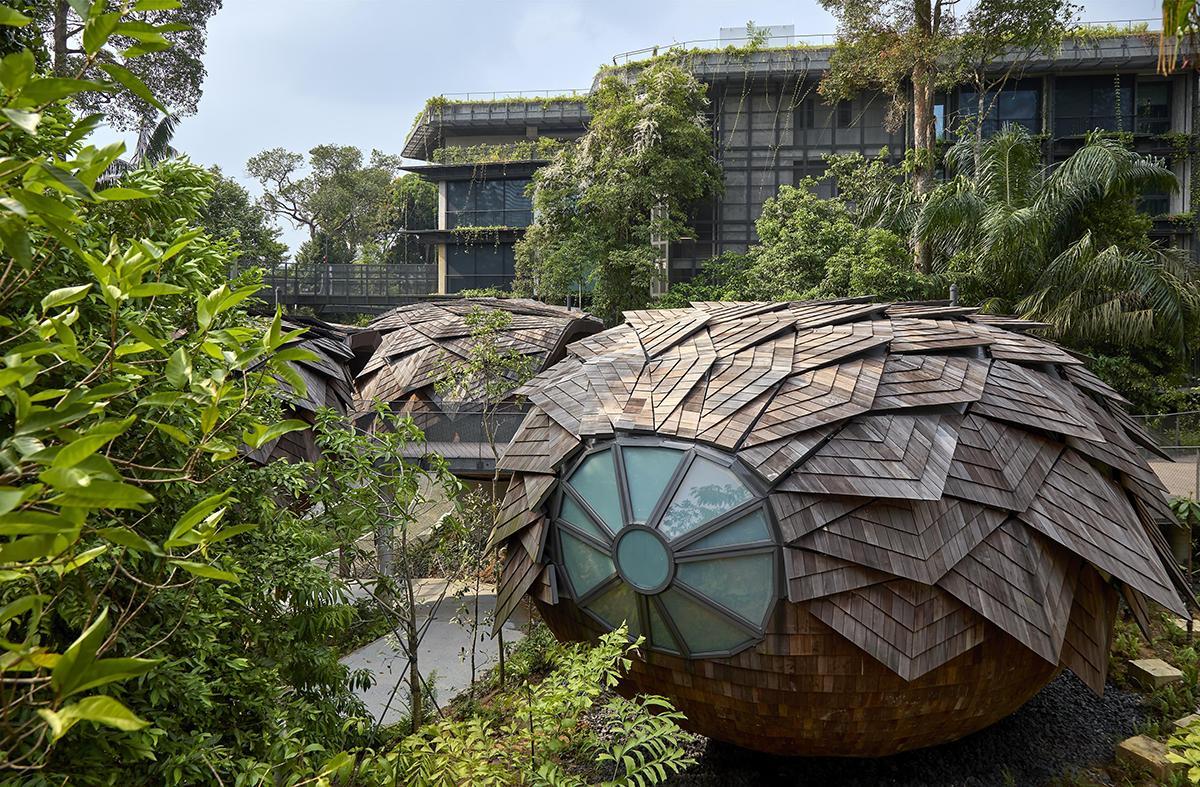 Banyan Tree’s Mandai Rainforest Resort in Singapore
