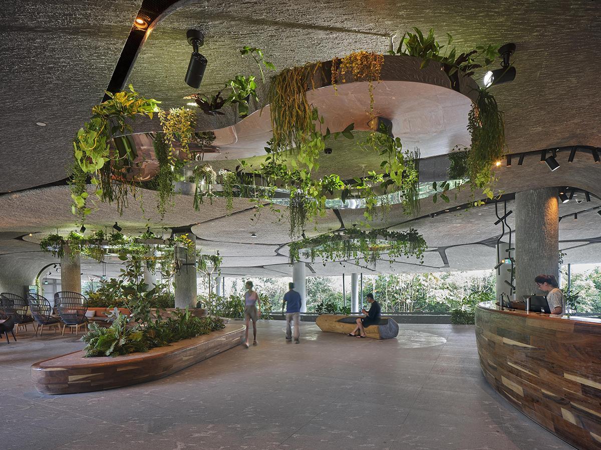 Banyan Tree’s Mandai Rainforest Resort in Singapore