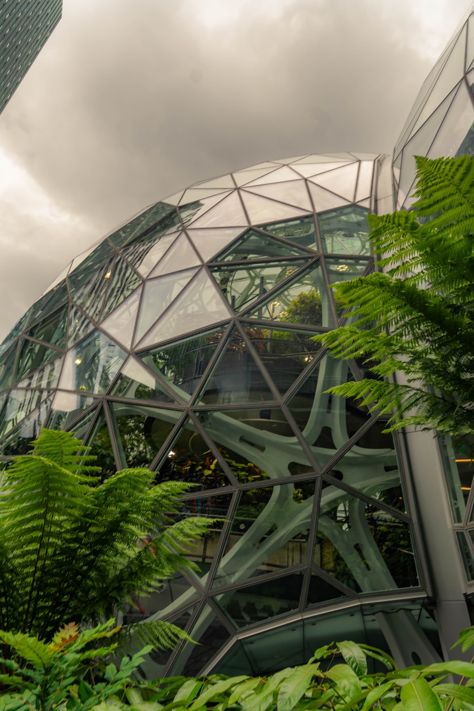 Geodesic dome building with lush green plants