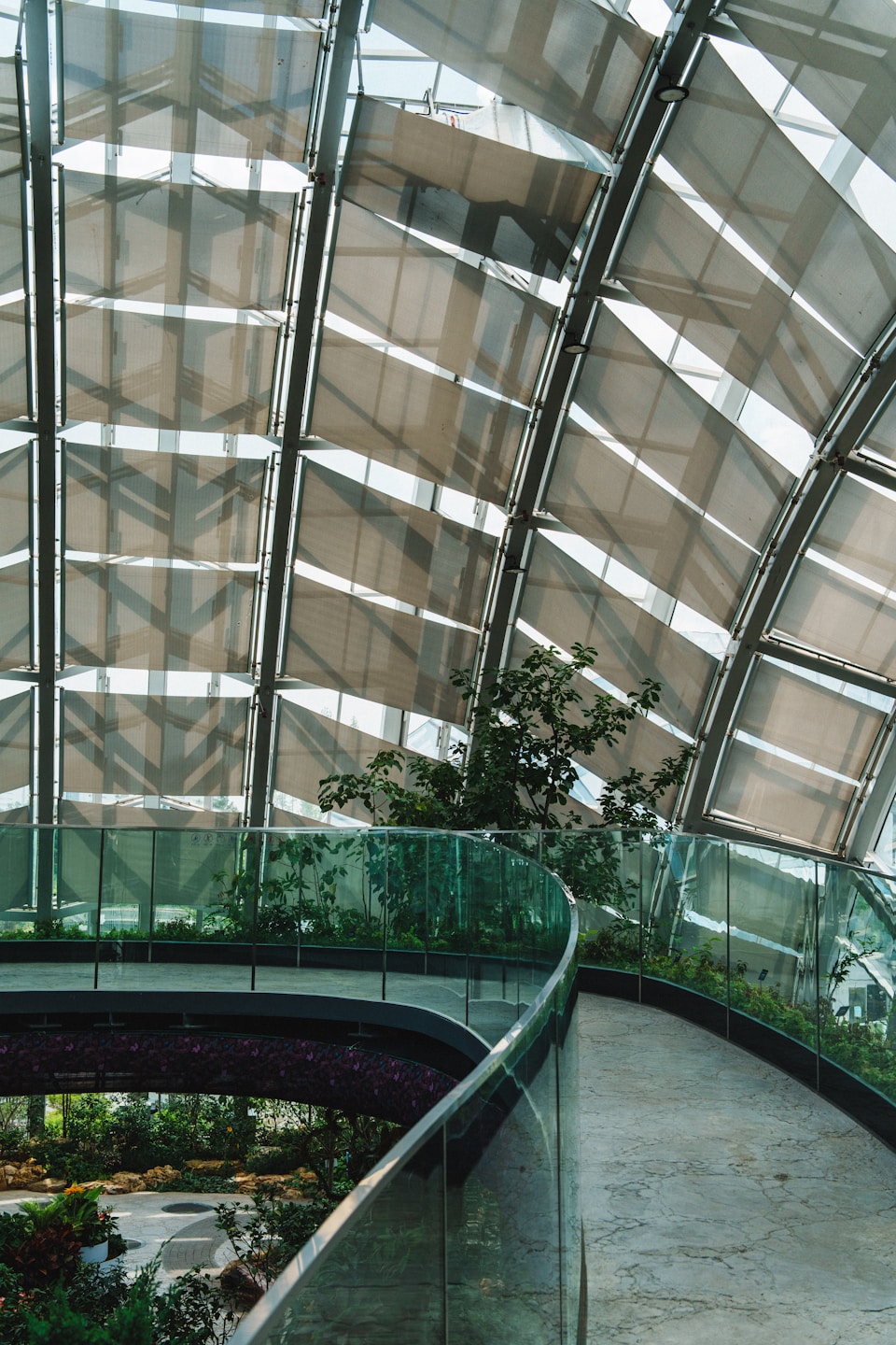 Modern greenhouse with lush greenery and curved walkway