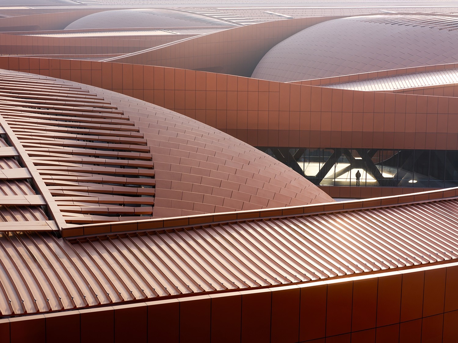 Capital International Exhibition & Convention Centre (CIECC), by Zaha Hadid Architects