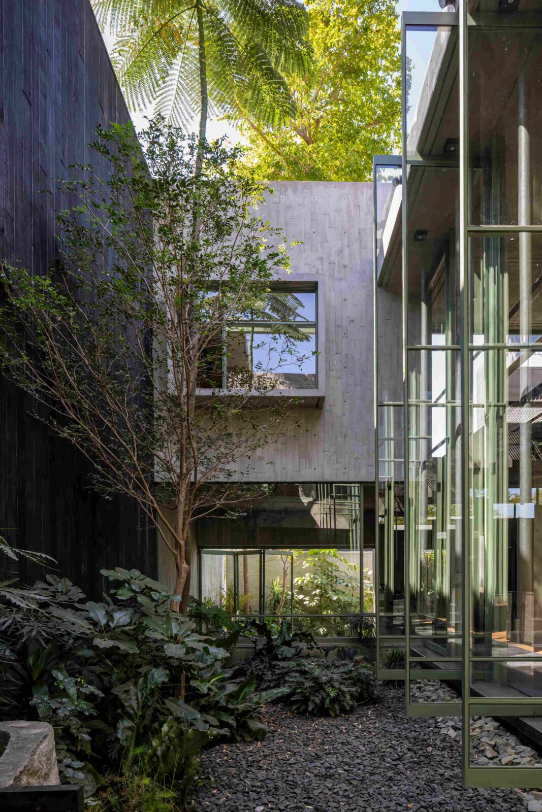 Taller Di Frenna Arquitectos office in Colima, Mexico