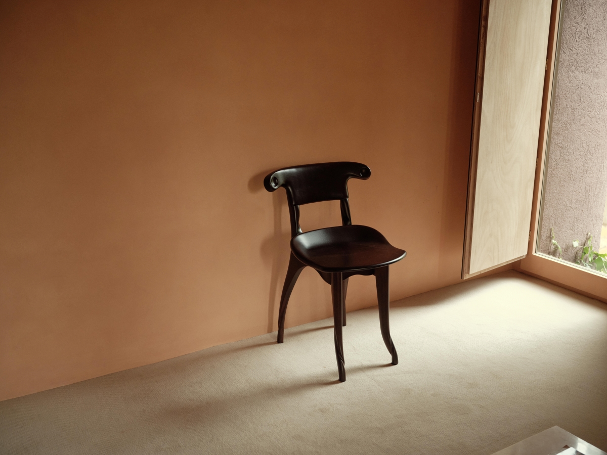 Batllo chair Gaudi