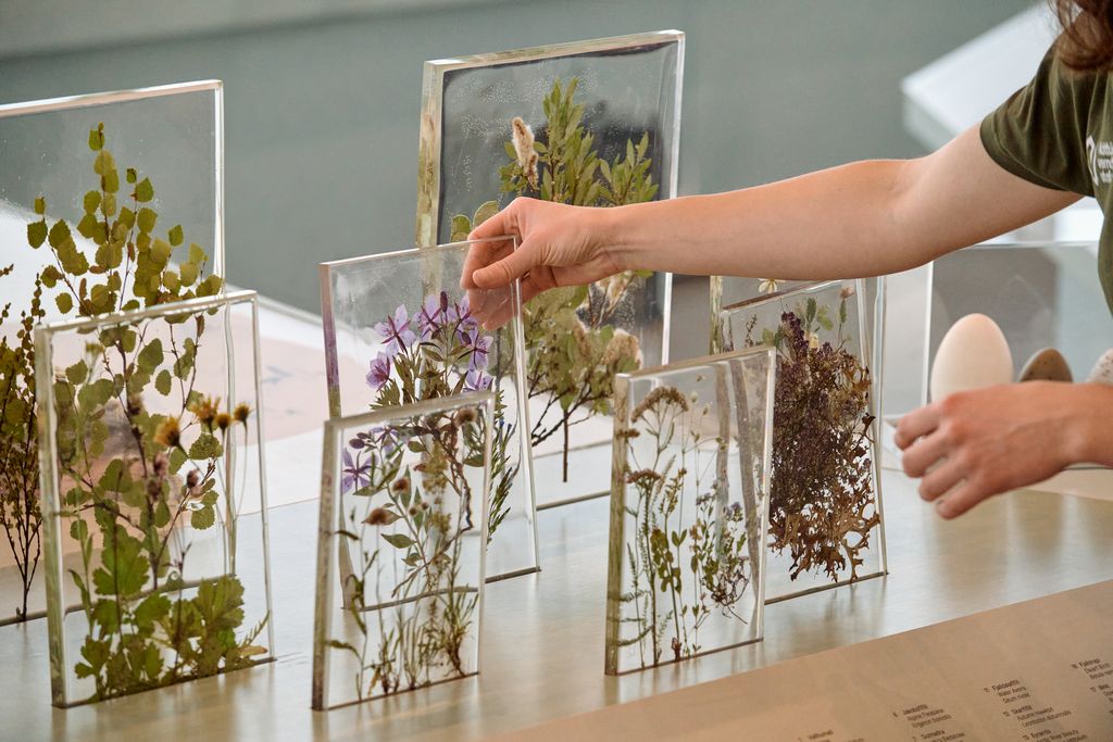 The Gígur Visitor Centre in Iceland by Nissen Richards Studio and SP(R)INT STUDIO