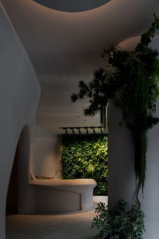 Velvi Tea and Spirits