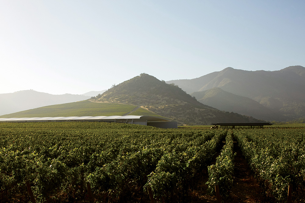 Vik Millahue Winery by Smiljan Radić Clarke