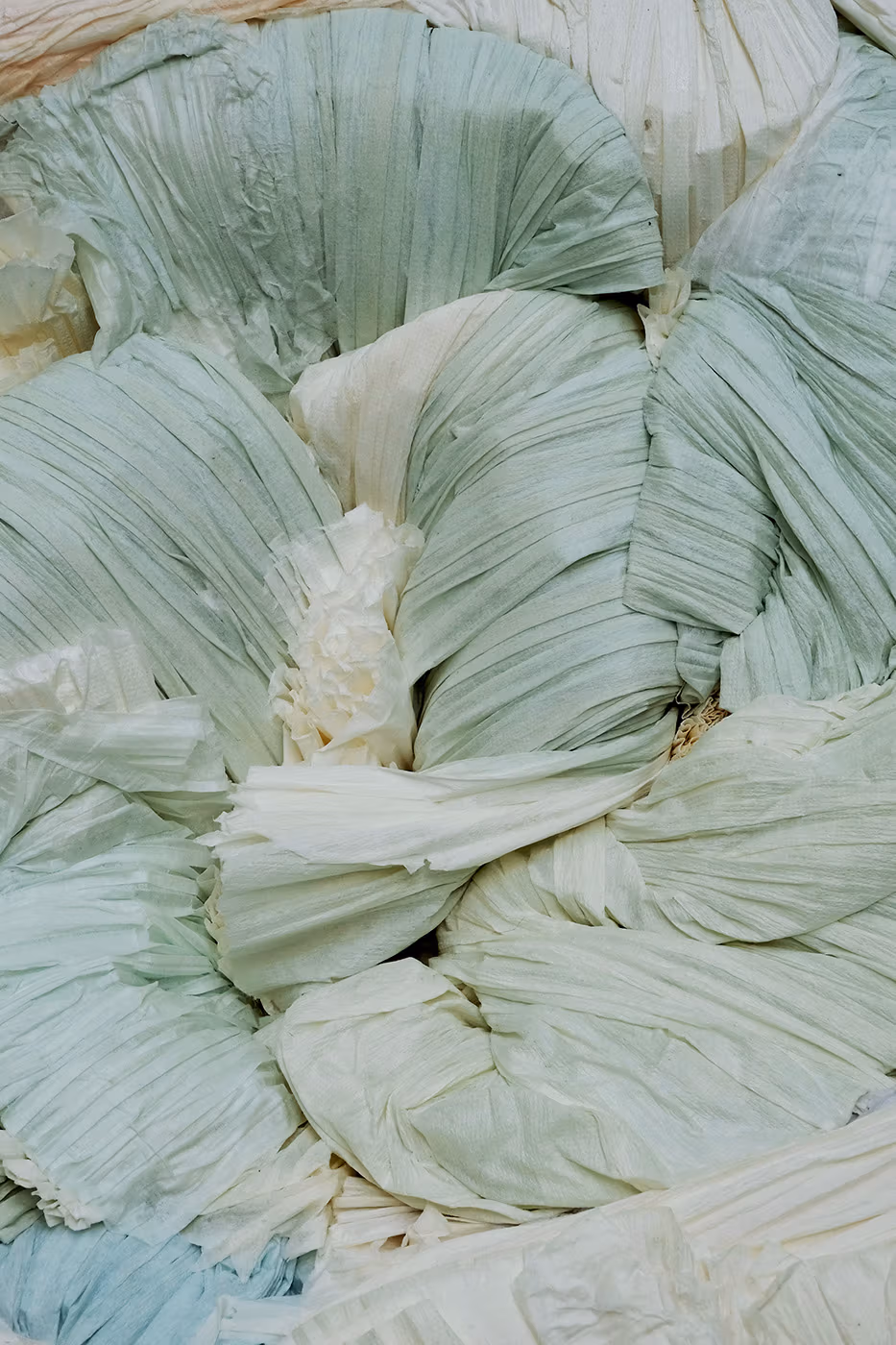 Dyed Paper Log