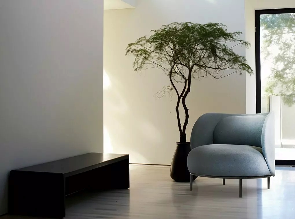 Metiz Lounge chair