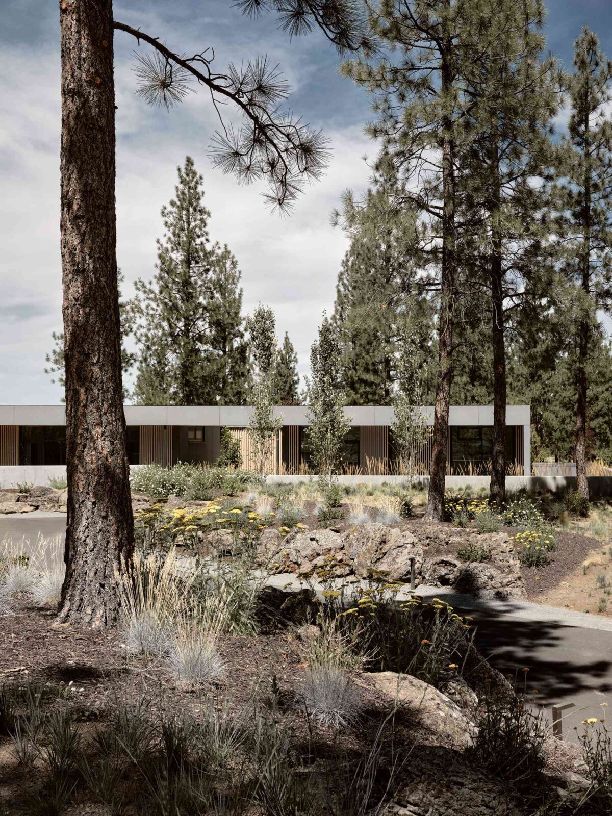Bend Hideaway house in Oregon forest by Feldman Architecture