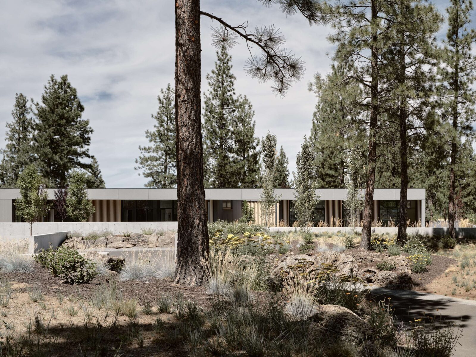 Bend Hideaway house in Oregon forest by Feldman Architecture