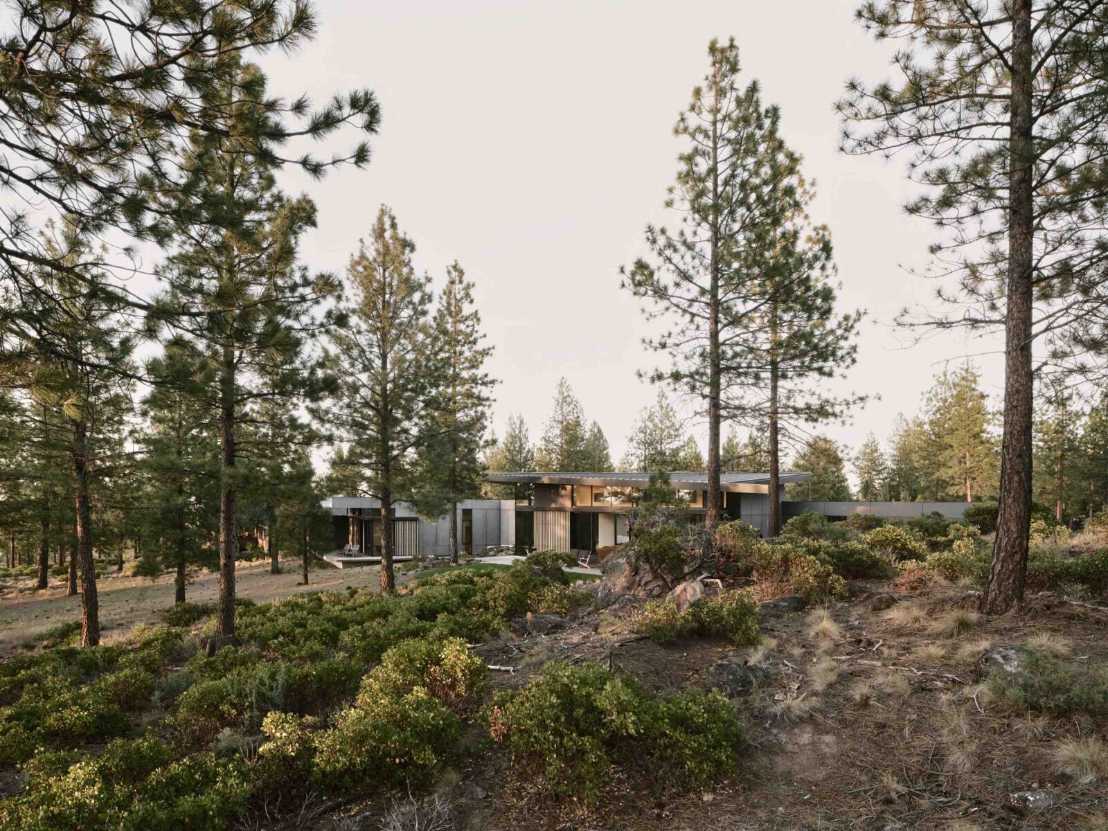Bend Hideaway house in Oregon forest by Feldman Architecture