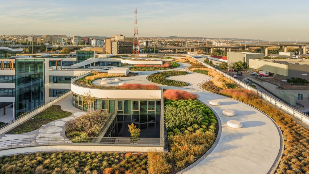 Orient Green campus pathway