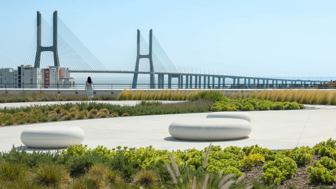 View of the bridge