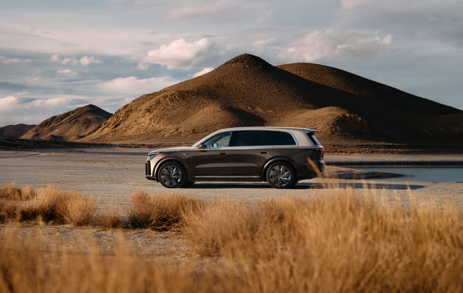 The All-New Li L9 Livis edition in Truffle Gold with Titanium Gold two-tone paint