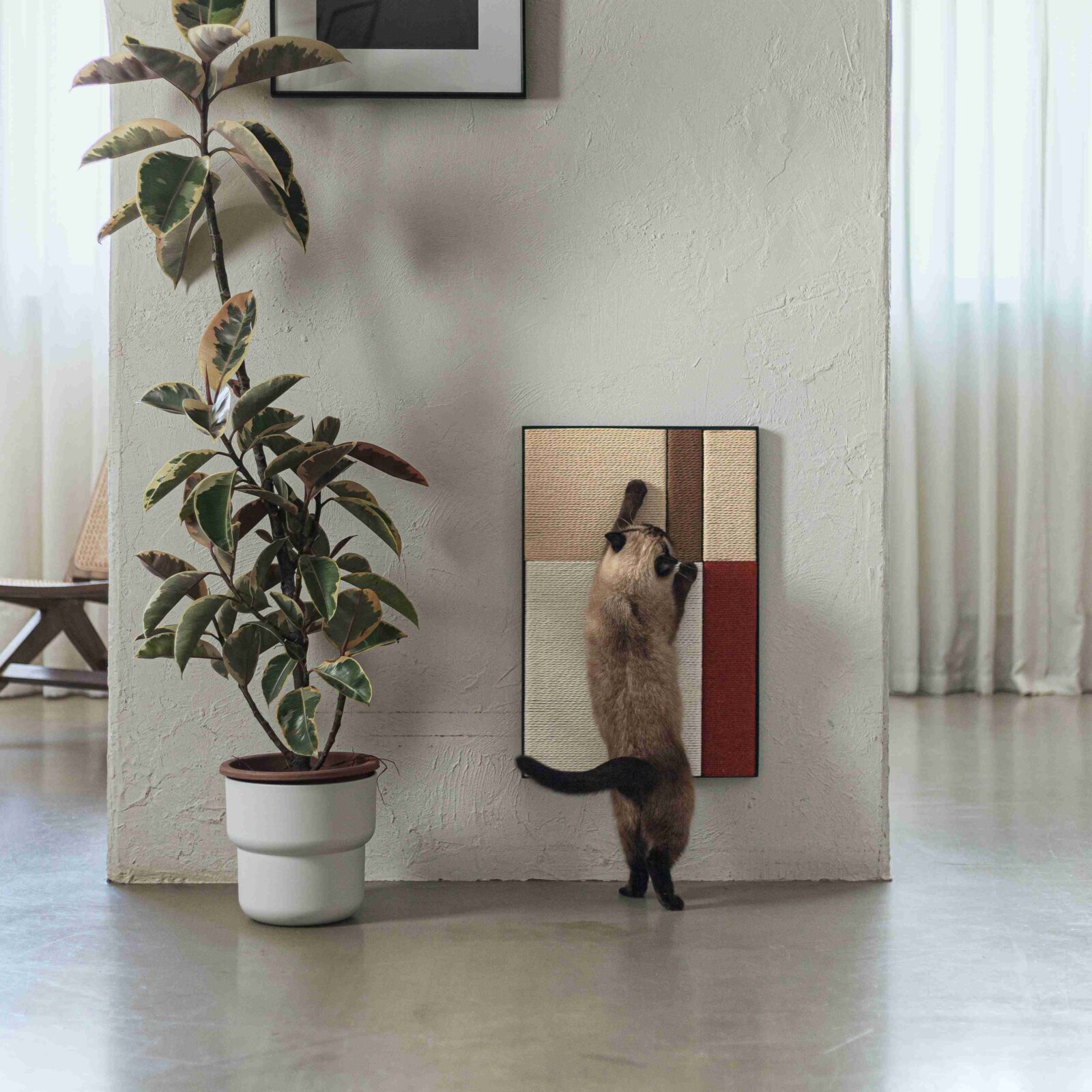 Otiora's new colleciton of pet furniture