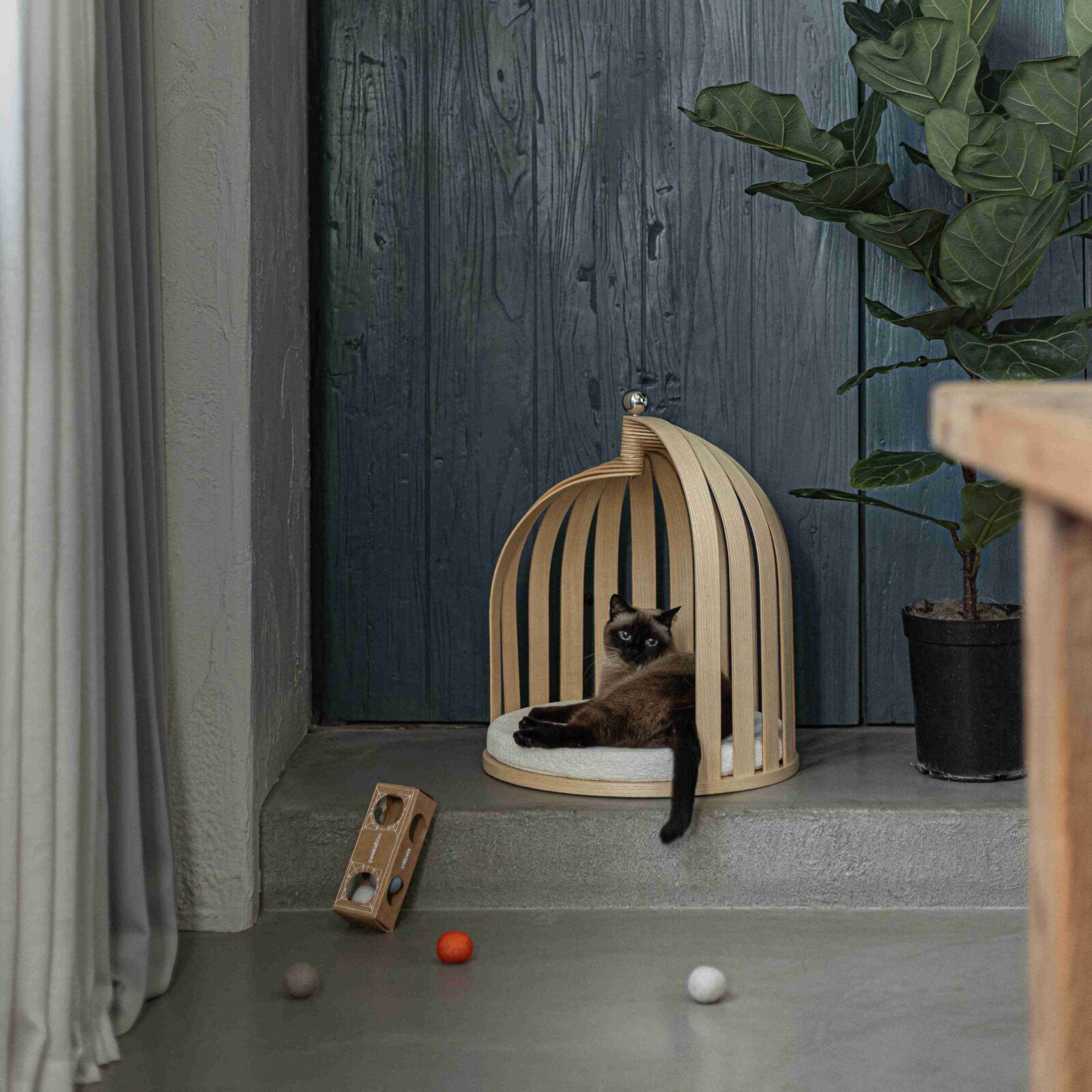Otiora's new colleciton of pet furniture