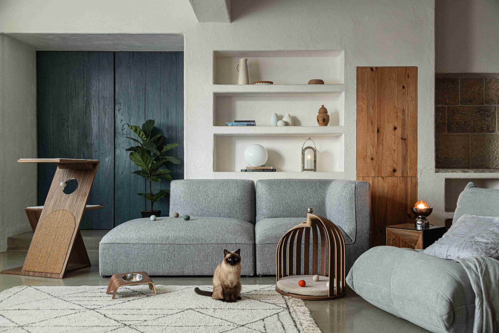 Otiora's new colleciton of pet furniture