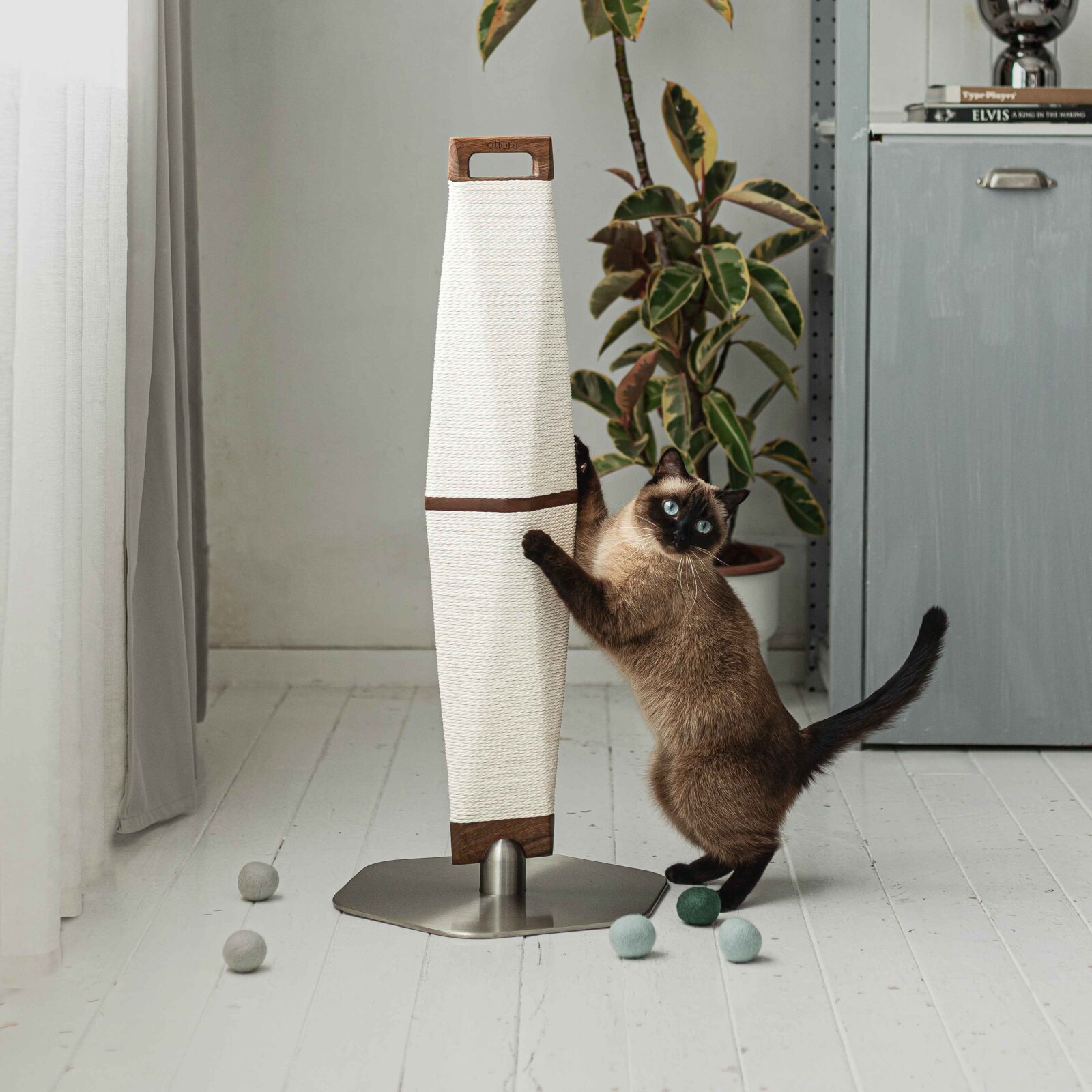 Otiora's new colleciton of pet furniture