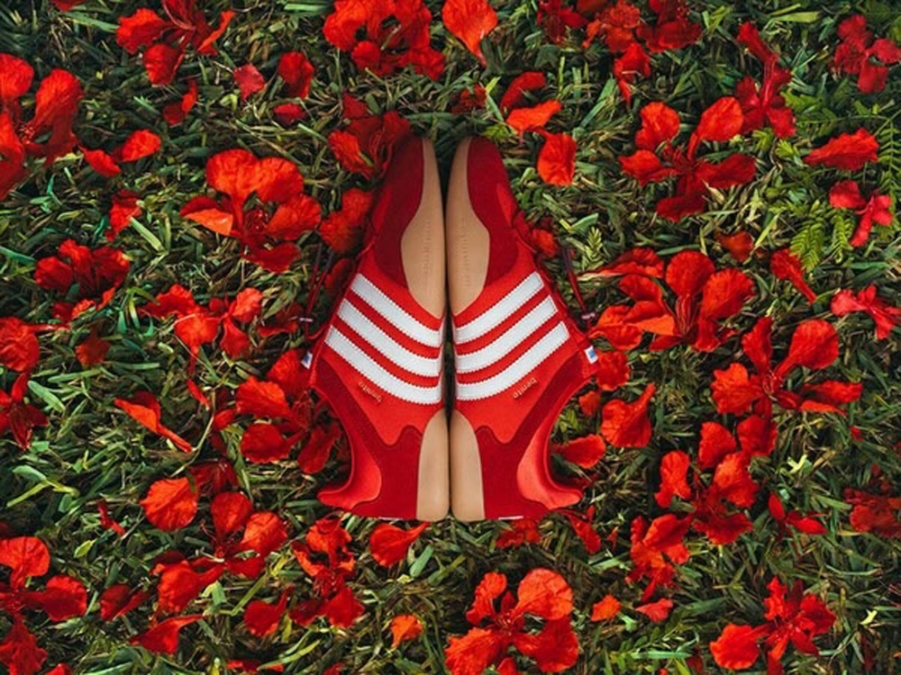 Bad Bunny adidas