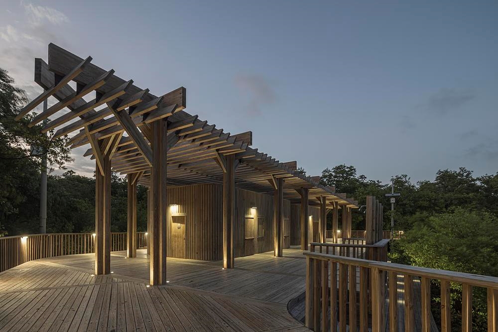 Ciénaga de Mallorquín Ecopark at night