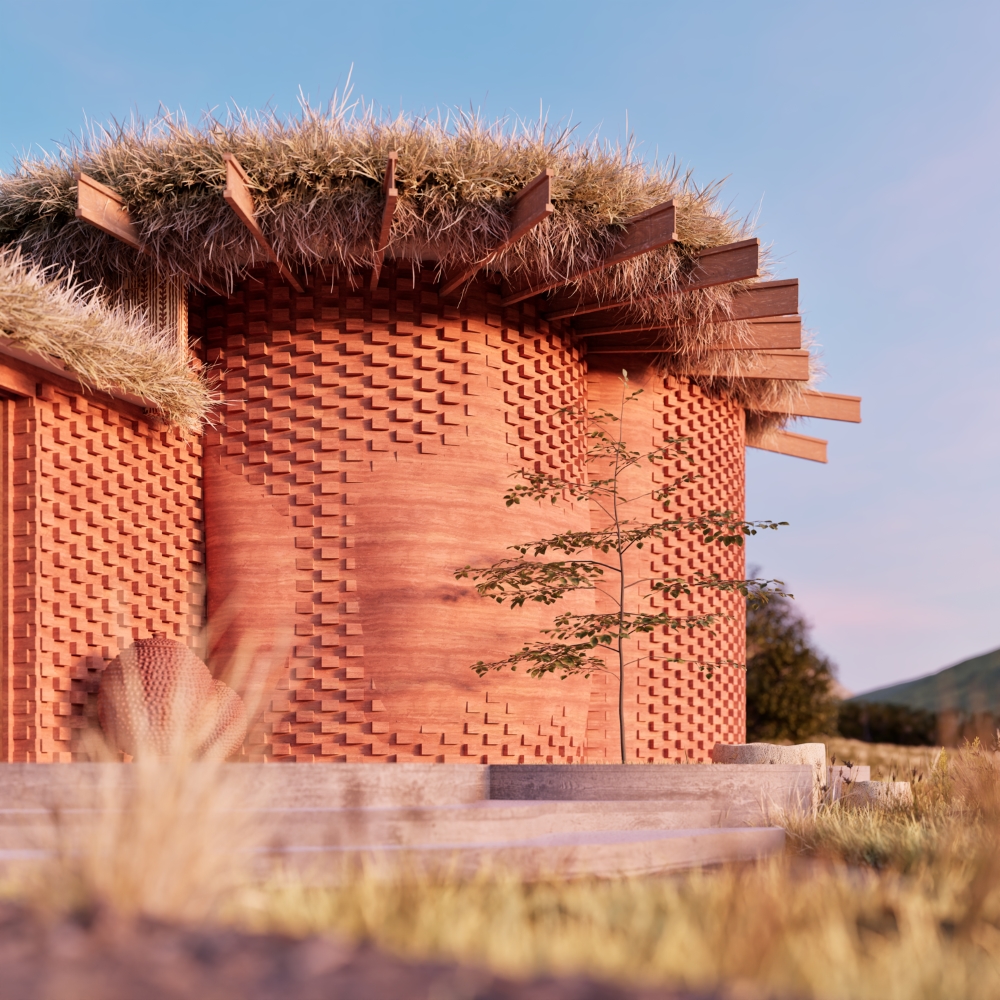 Nyara Kaya back