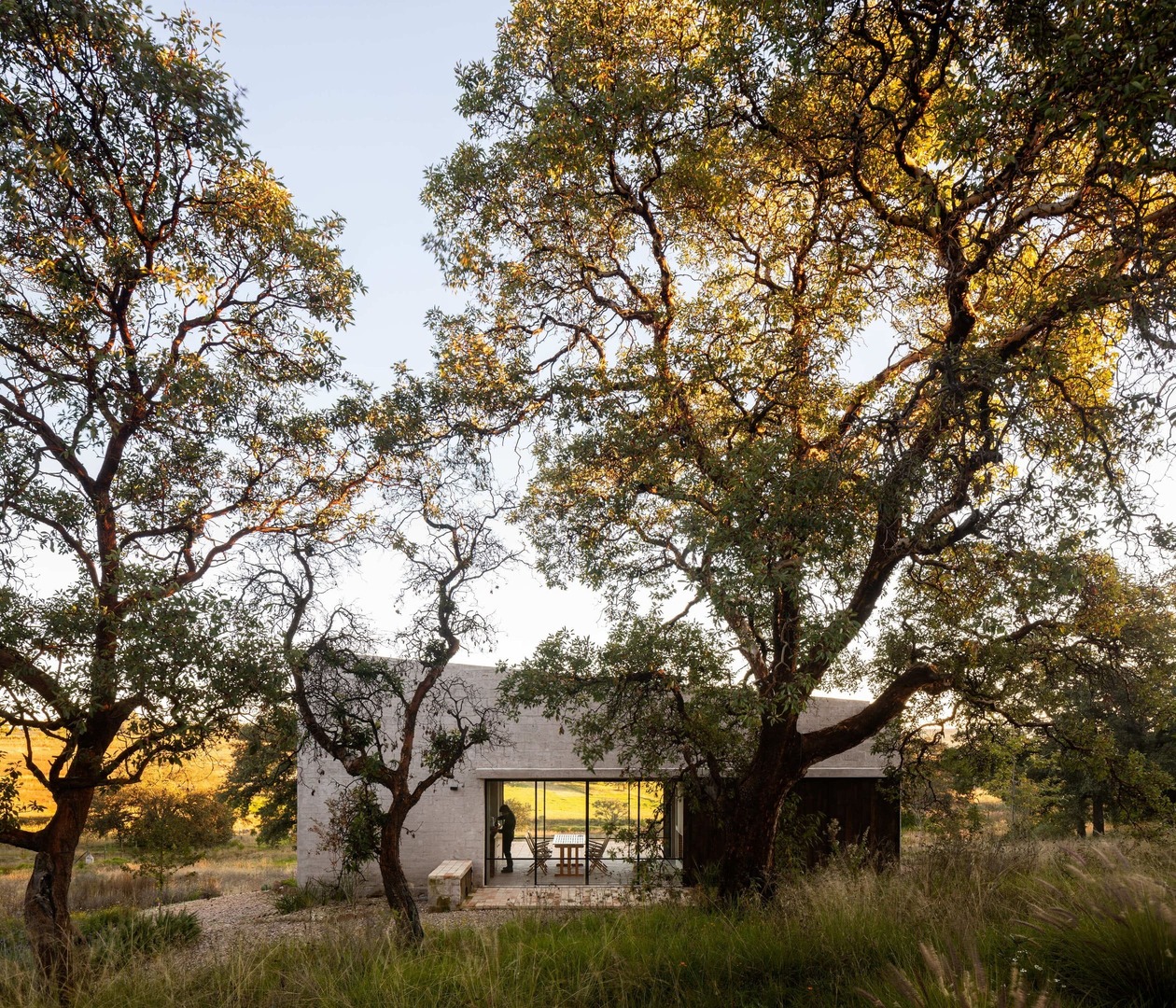 Aculco house by PPAA Architects