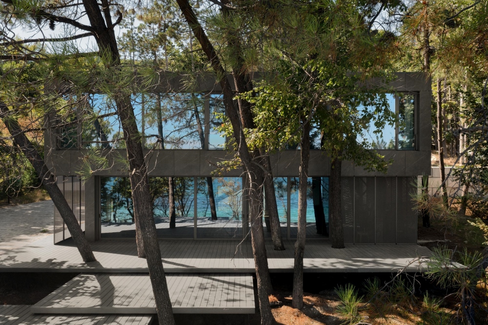 Pine House in landscape
