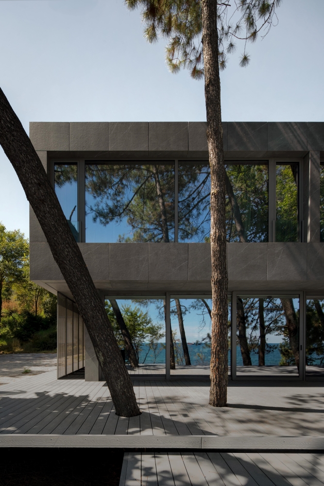 Pine house among trees