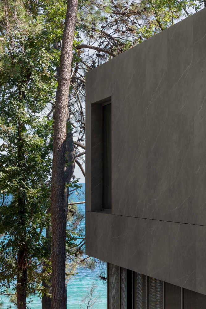 Pine house facade, detail