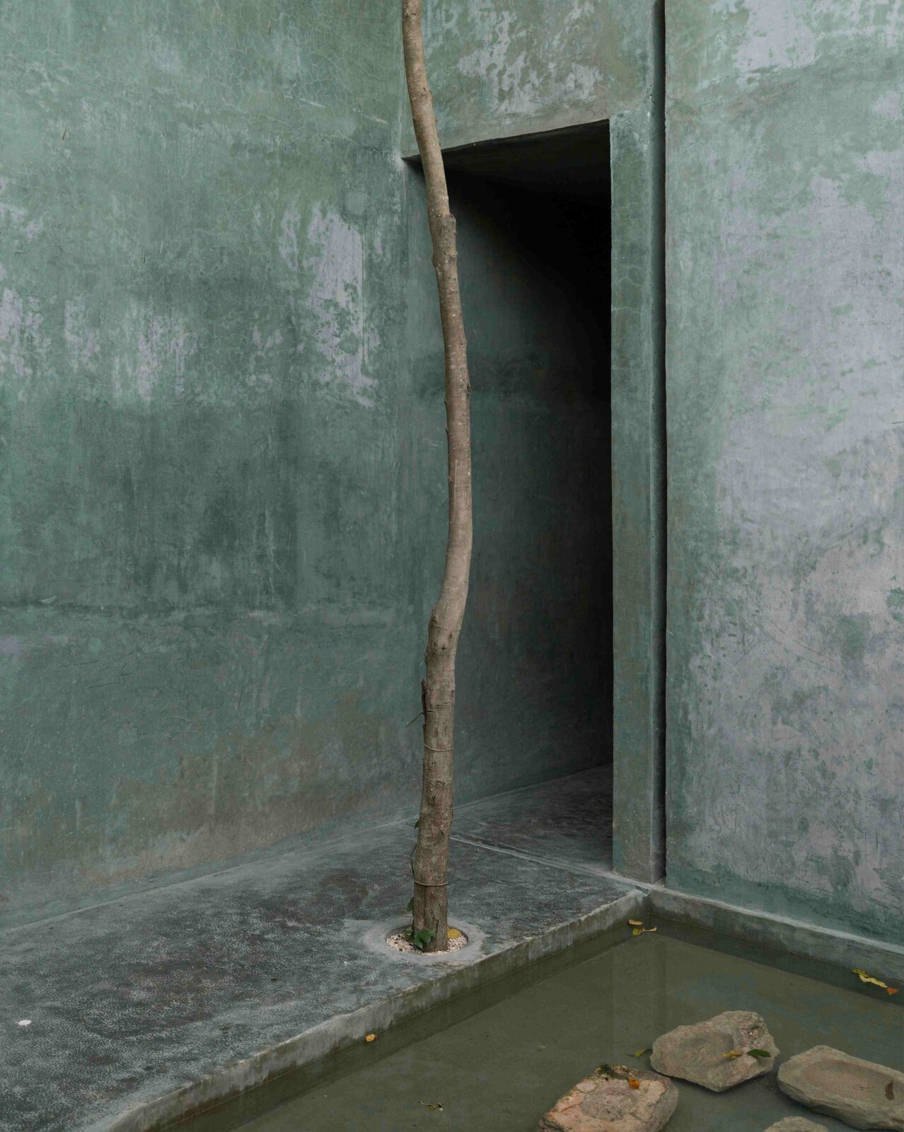 Casa Gruta by Salvador Román & Adela Mortera
