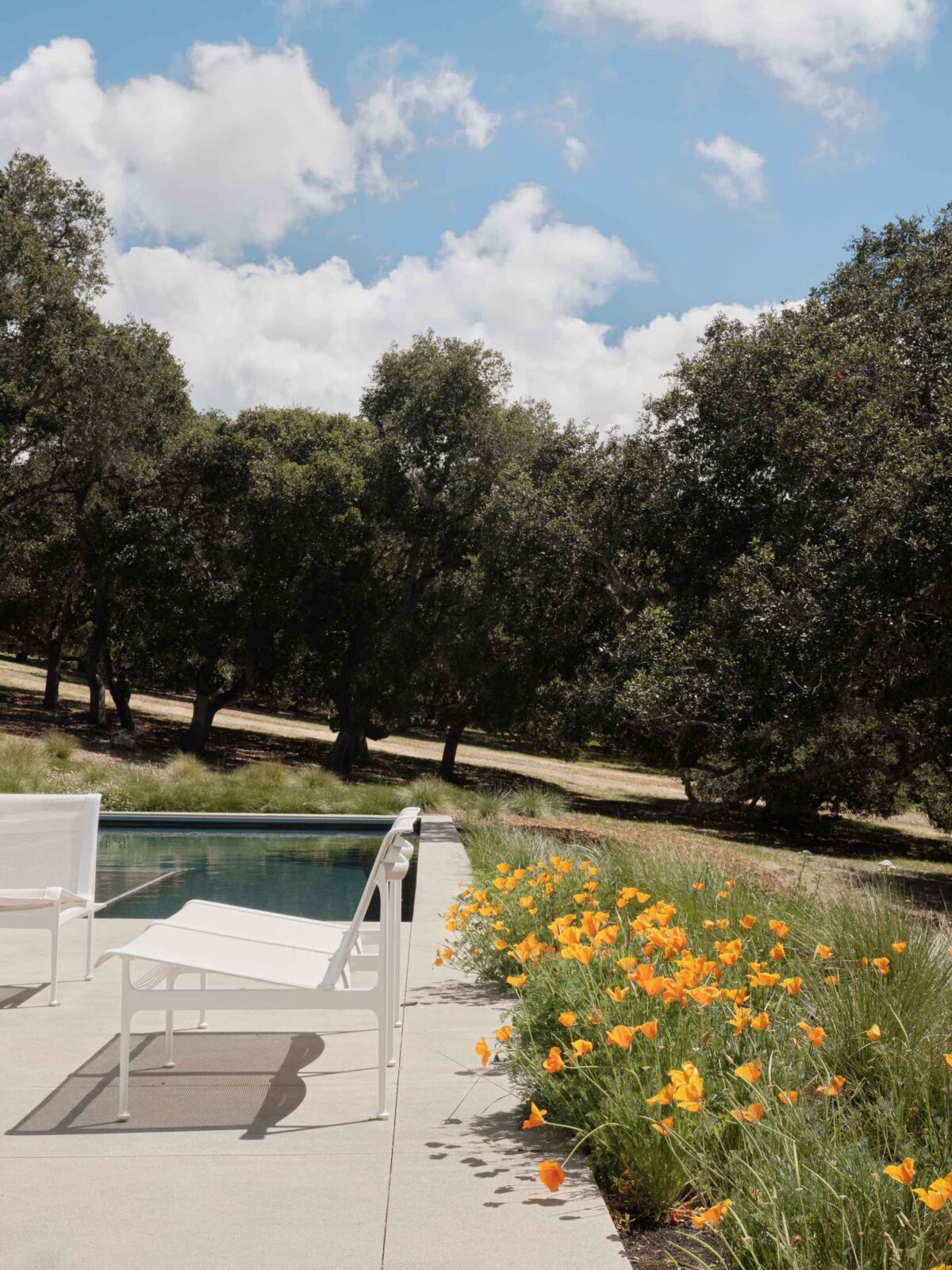 Live Oak House by Feldman Architecture