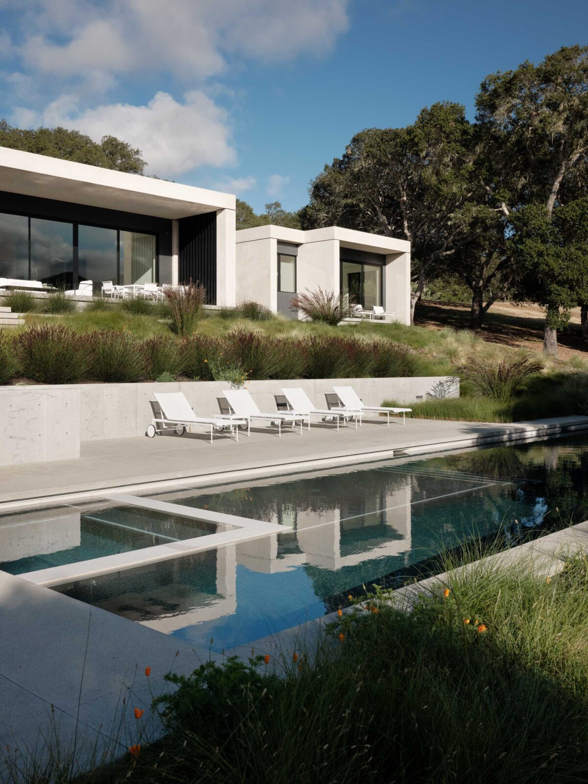 Live Oak House by Feldman Architecture
