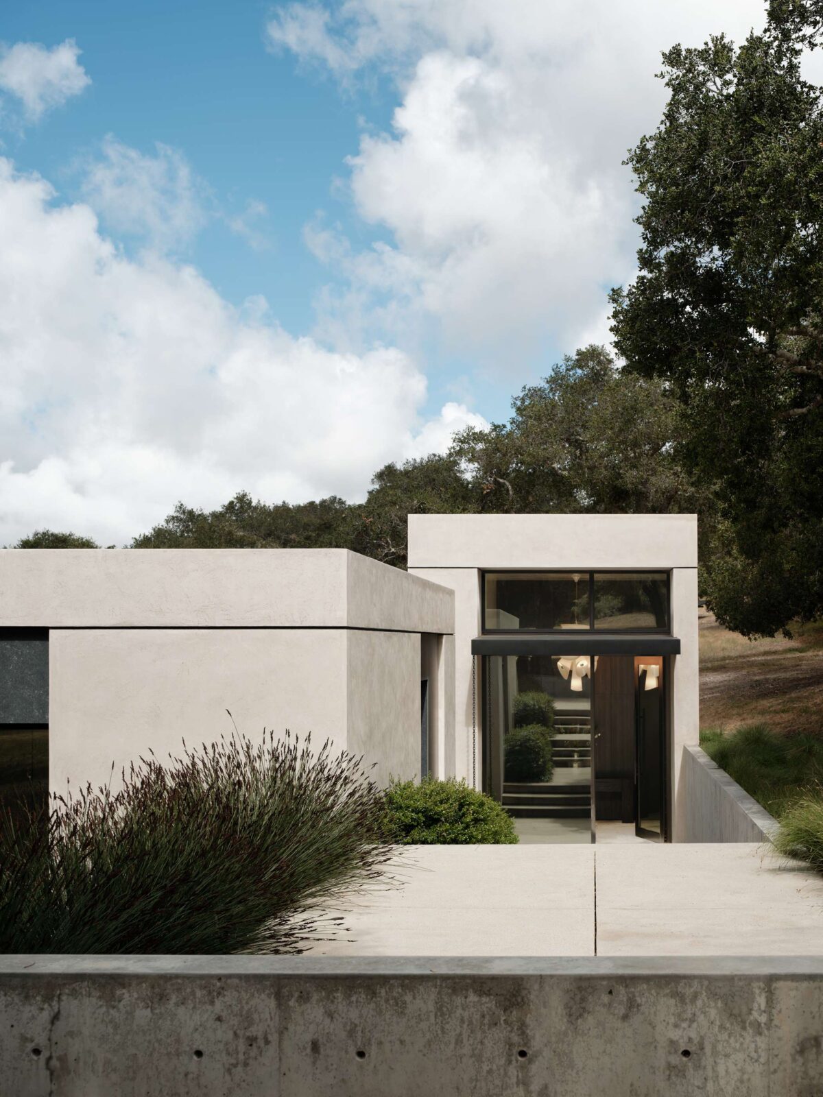 Live Oak House by Feldman Architecture