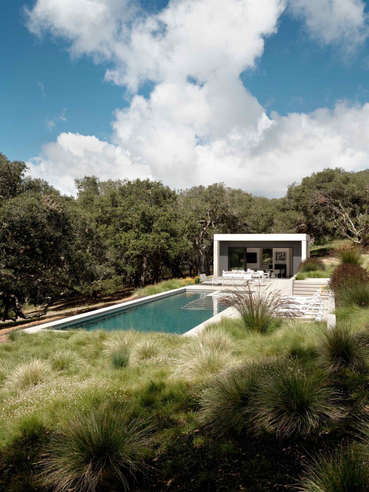 Live Oak House by Feldman Architecture