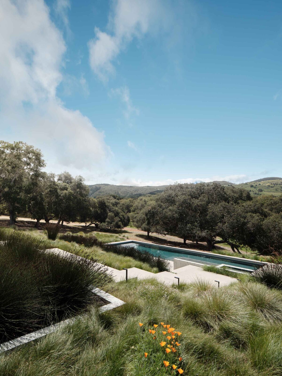 Live Oak House by Feldman Architecture