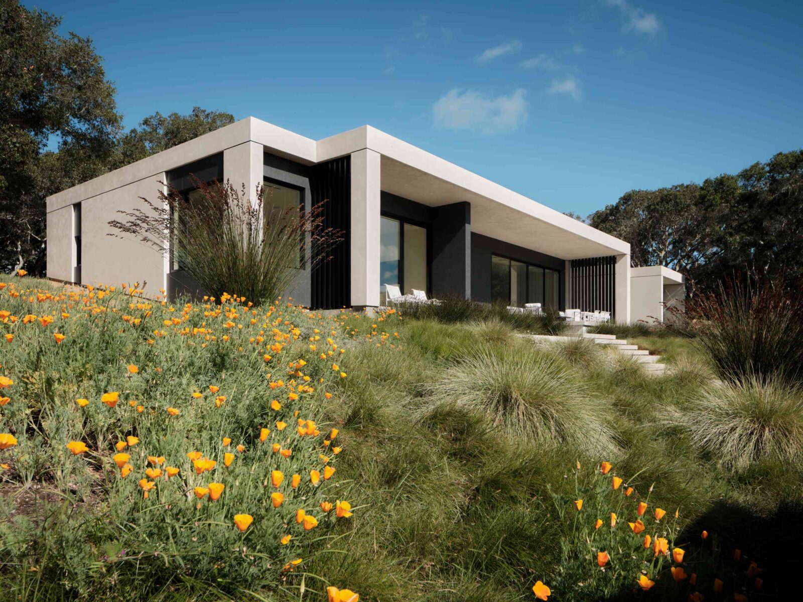Live Oak House by Feldman Architecture