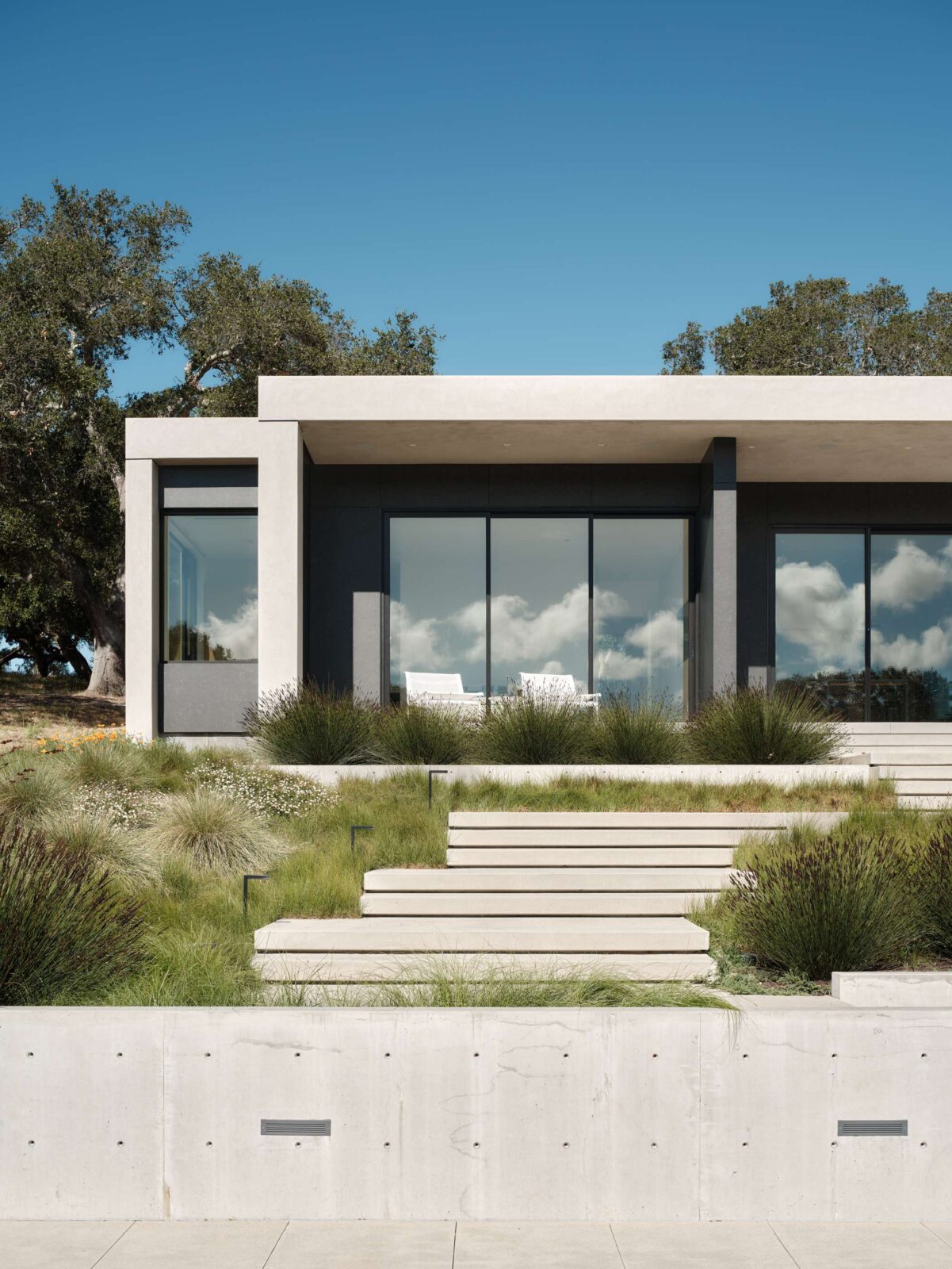 Live Oak House by Feldman Architecture