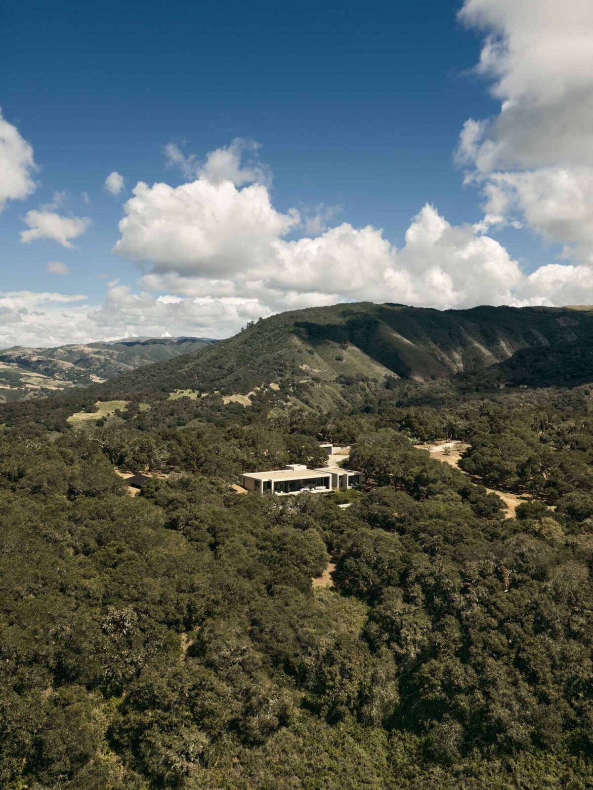 Live Oak House by Feldman Architecture