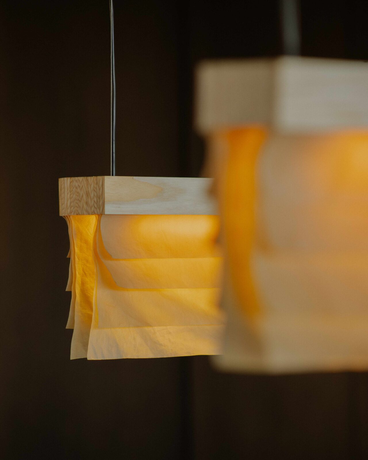 Cenit by Polybion and Natural Urbano