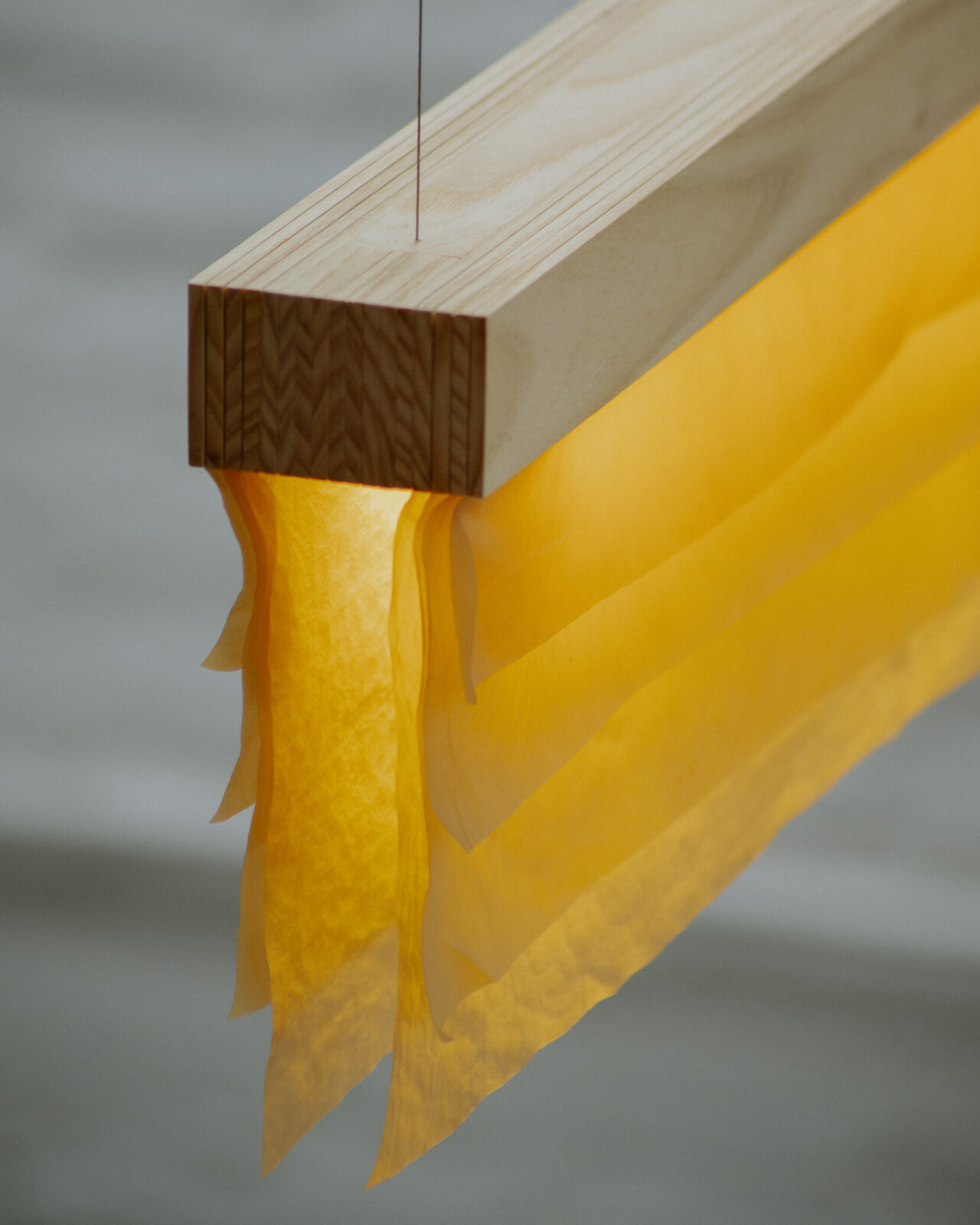 Cenit by Polybion and Natural Urbano
