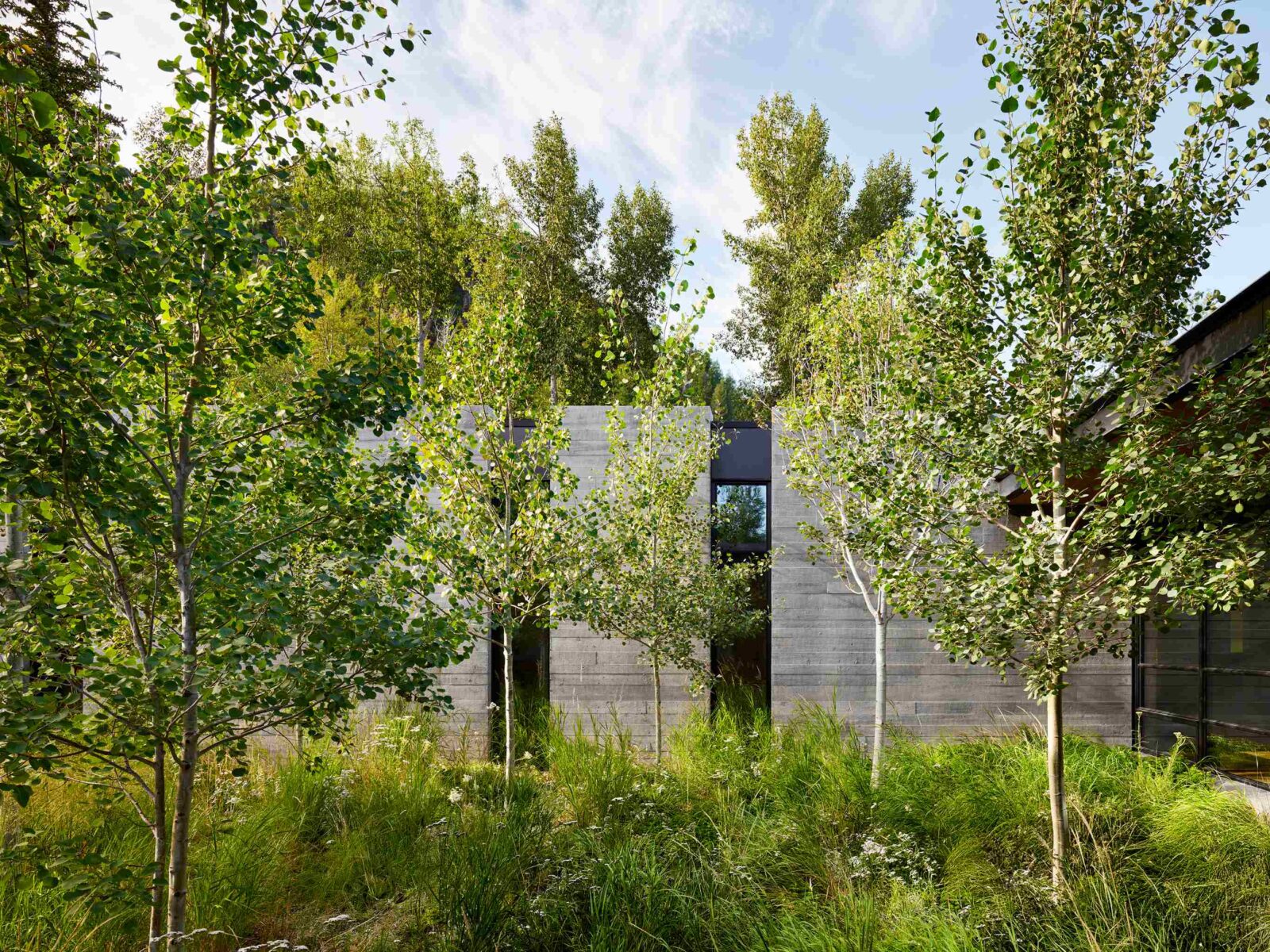 Kara Creek house in Colorado by Walker Warner
