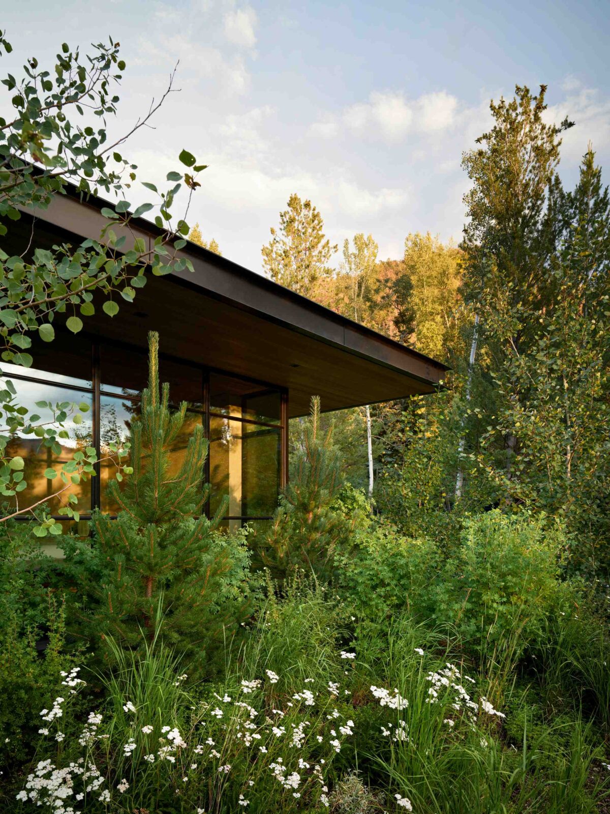 Kara Creek house in Colorado by Walker Warner