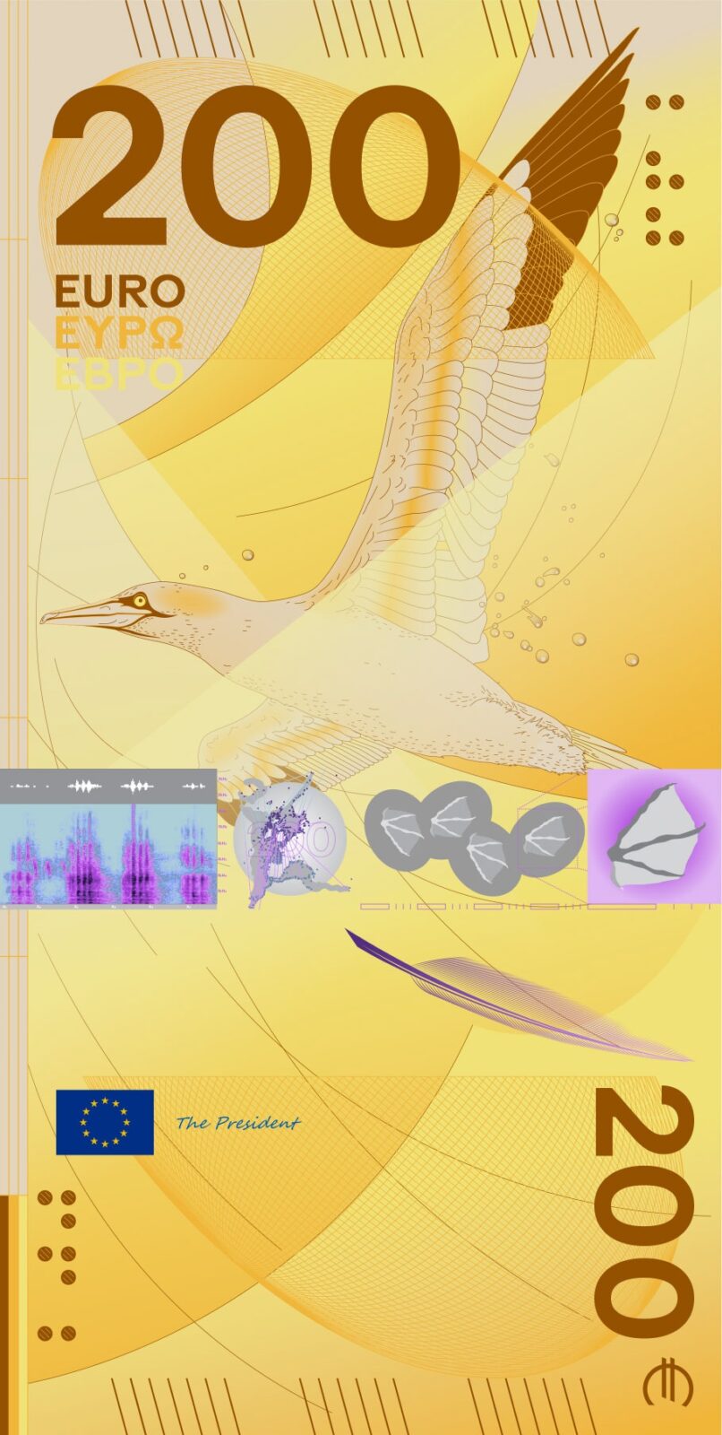 Design D, Rudy Guedj and François Girard-Meunier