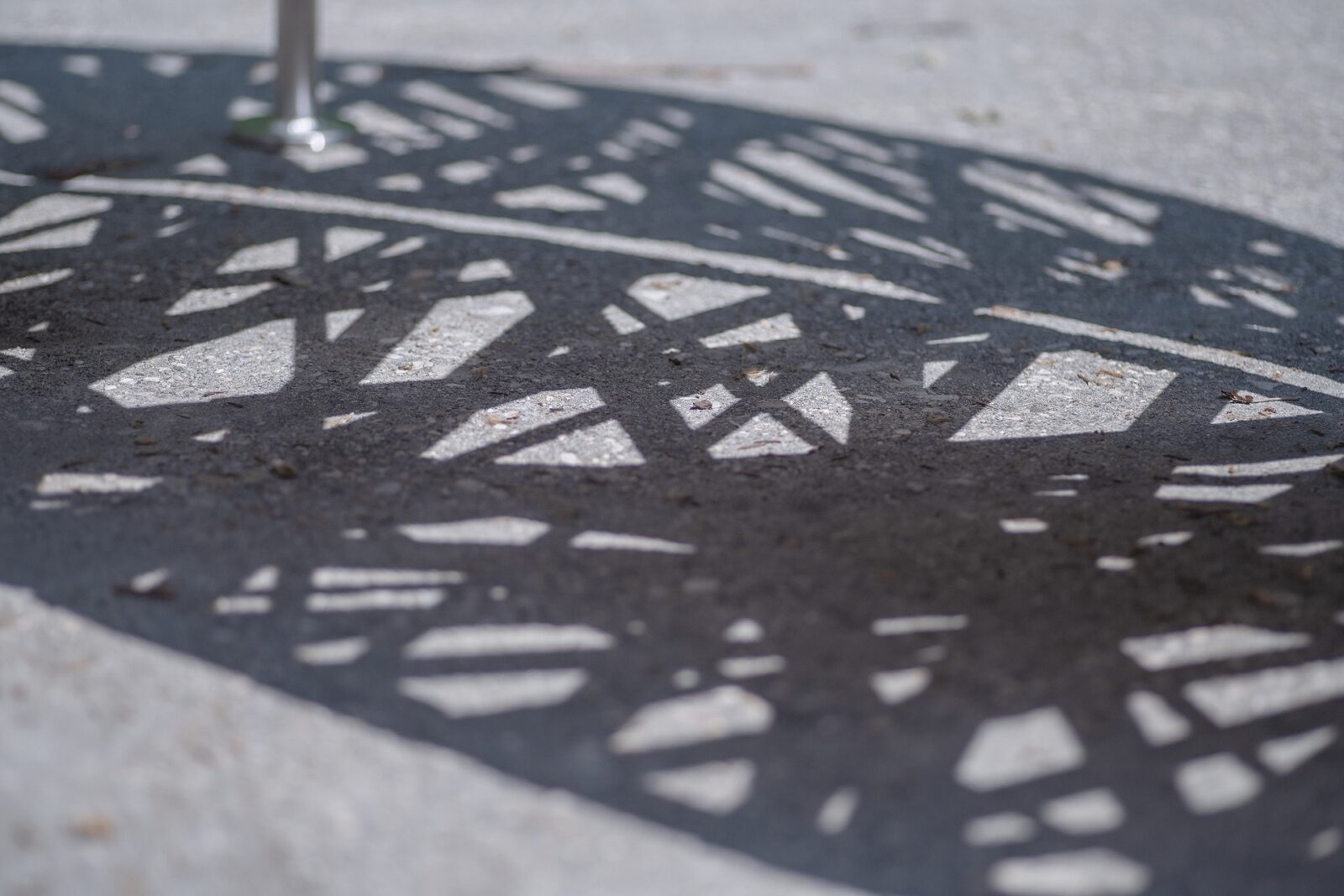 Baya by Natsumi Komoto from École Cantonale d'Art de Lausanne
