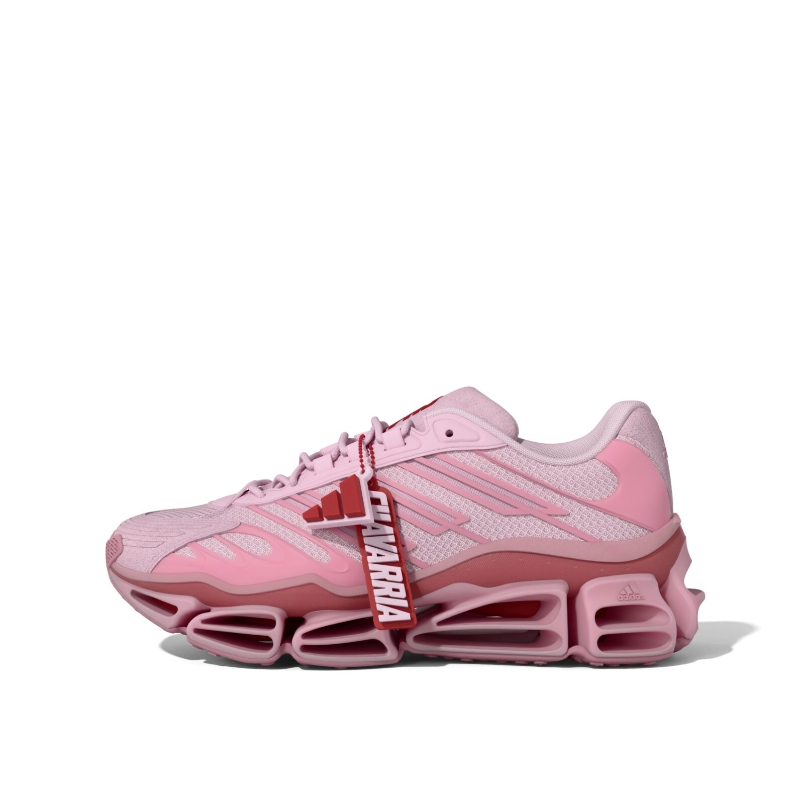 Pink Chavarria Megaride AG