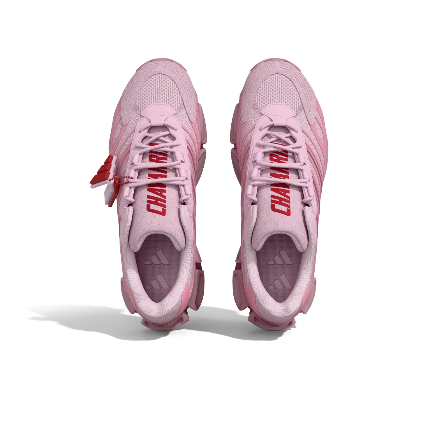 Pink Chavarria Megaride AG