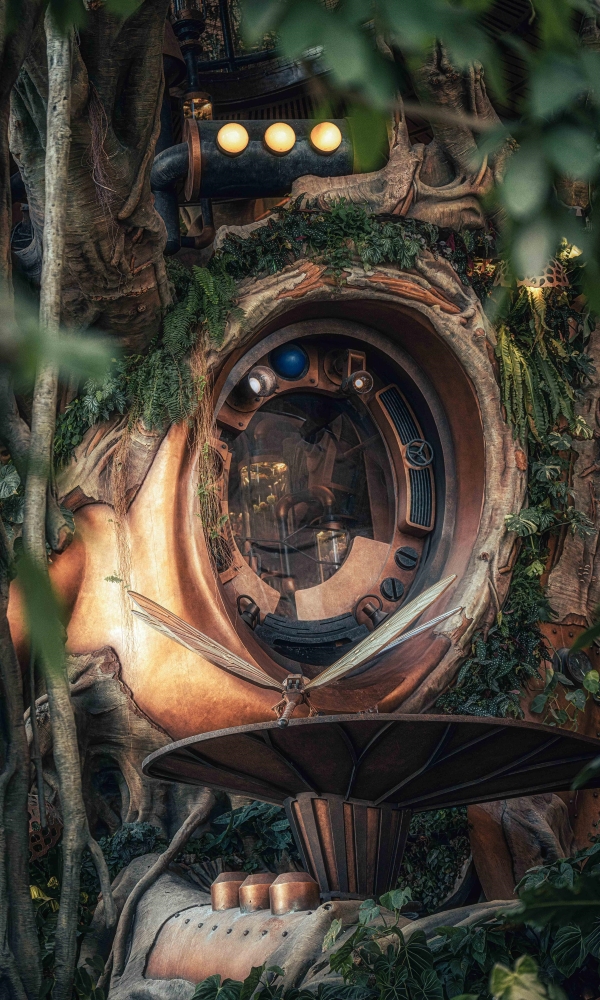 World Eye