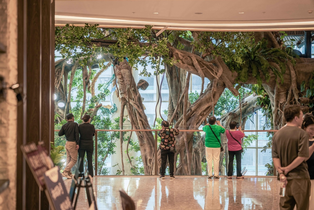 Sightline Relationship between Wonder Tree and Mall